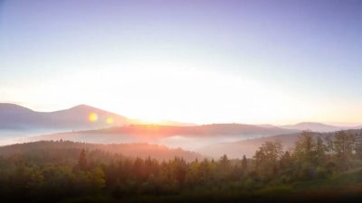 Early morning mist settled on a woodland landscape